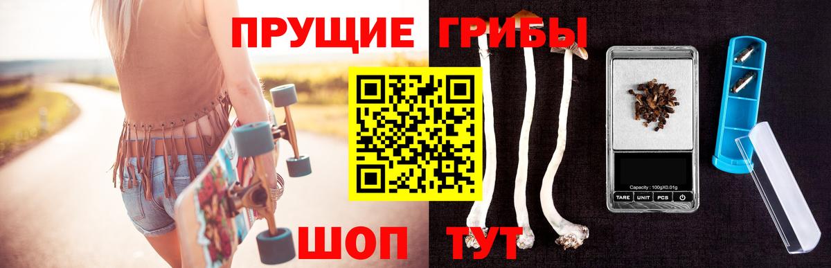 Галлюциногенные грибы GOLDEN TEACHER  Псилоцибиновые грибы Magic Shrooms  купить наркотик  Вход с VPN  Саранск 