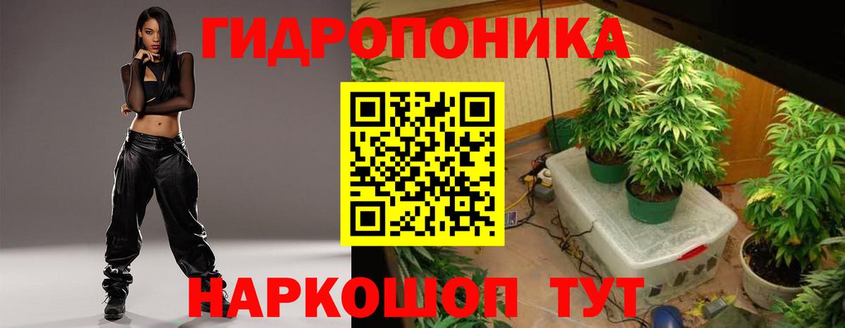 Саранск  Бошки марихуана конопля  Бошки Шишки сатива  Марихуана индика  МАРИХУАНА Ganja  Вход с VPN 